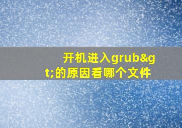 开机进入grub>的原因看哪个文件